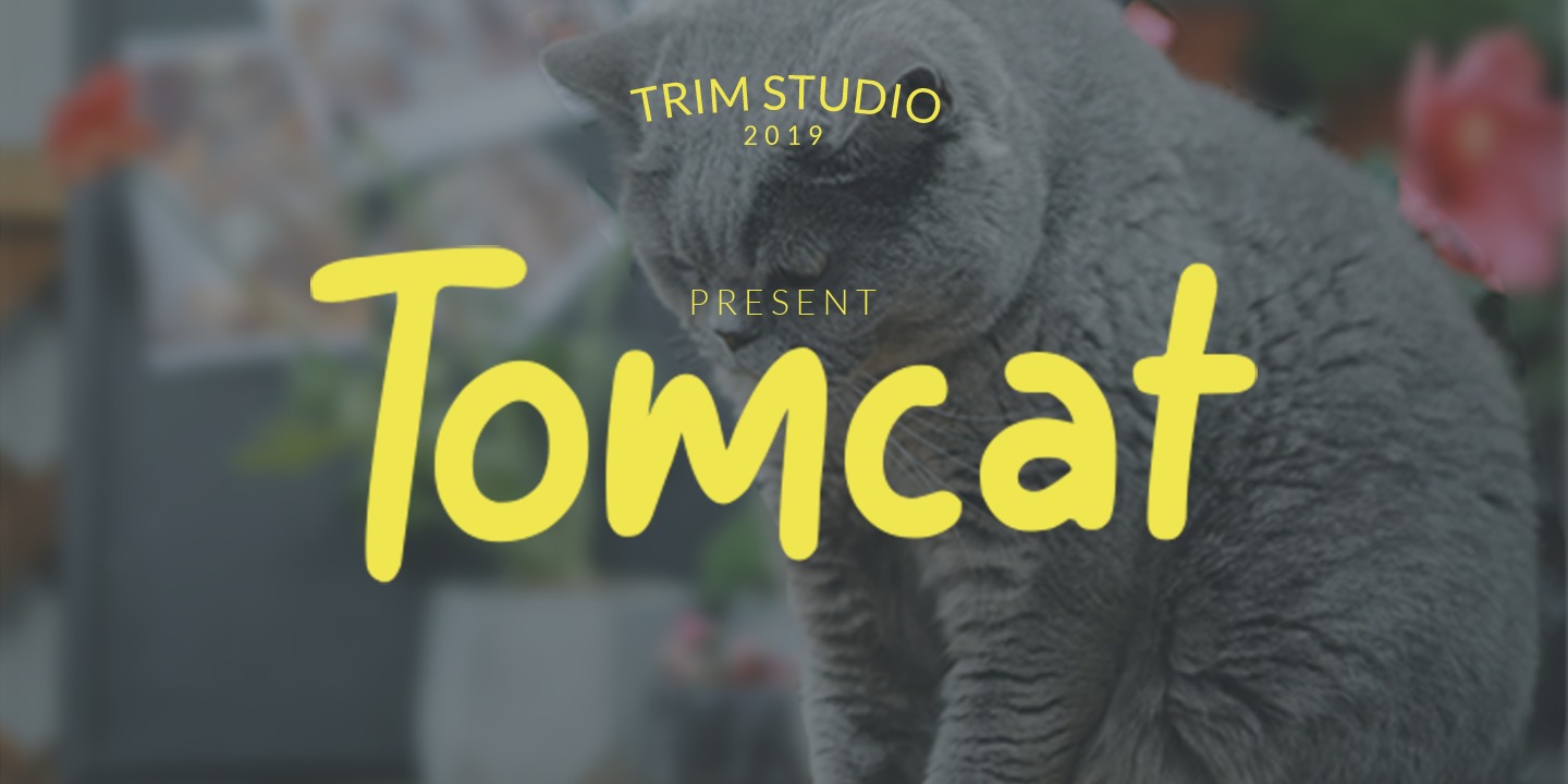 Пример шрифта Tomcat